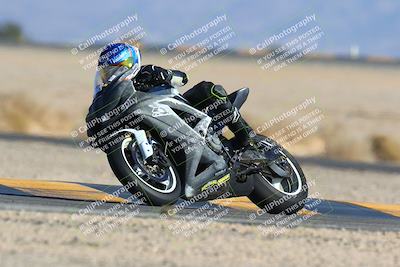 media/Jan-14-2024-SoCal Trackdays (Sun) [[2e55ec21a6]]/Turn 4 Tree of Life (155pm)/